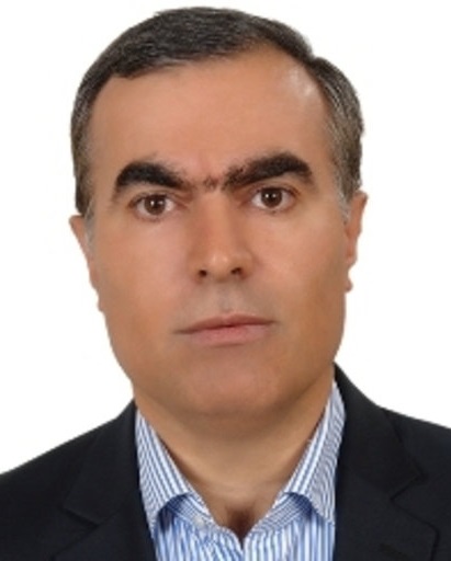 Javad Gholami
